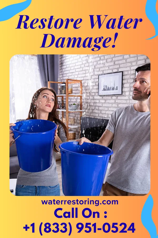 water restoration Ideal Sewage Cleanup Professionals Williamsdale