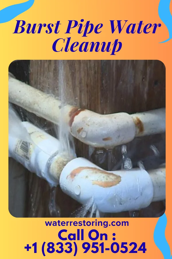 Burst Pipe Water Cleanup in Williamsdale, OH
