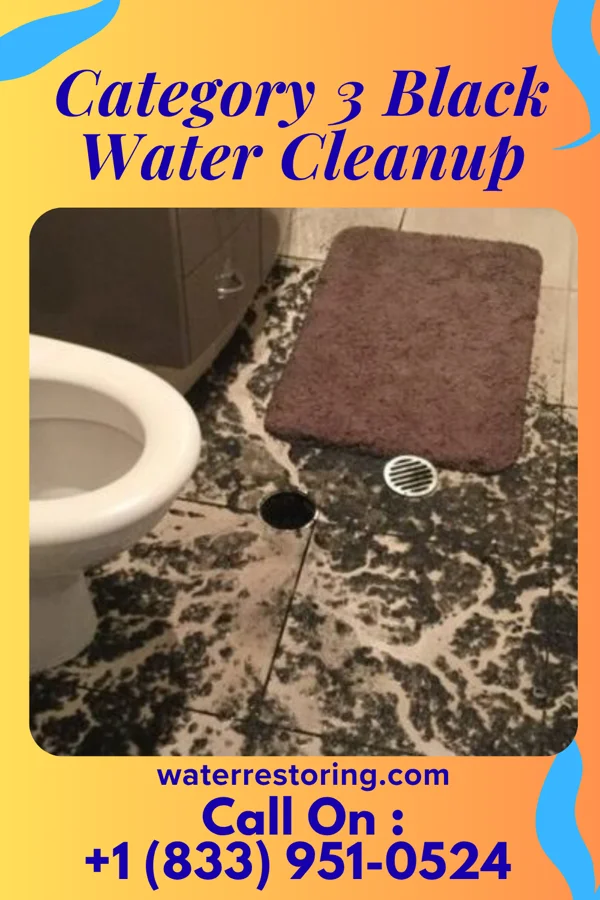 Category 3 Black Water Cleanup in Williamsdale, OH