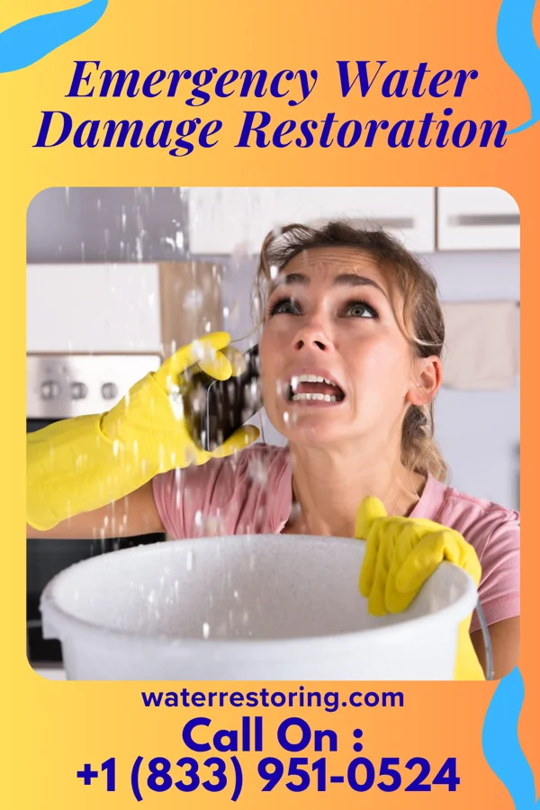 Emergency Water Damage Restoration in Williamsdale, OH