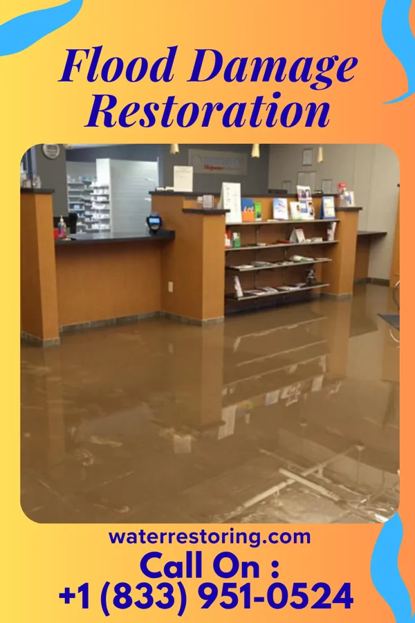 Flood Damage Restoration in Williamsdale, OH