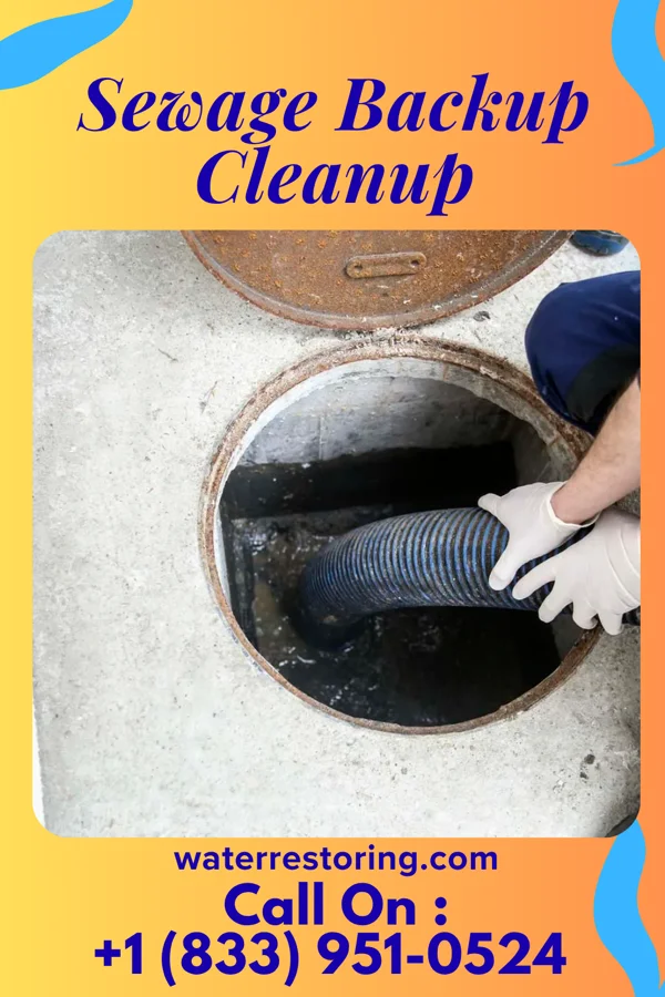 Sewage Backup Cleanup in Williamsdale, OH